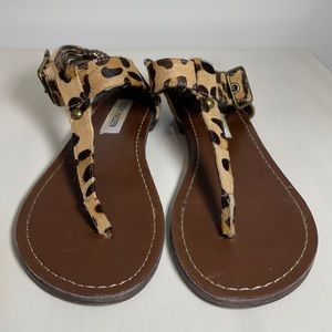 Steve Madden Calf Hair leopard sandals 8